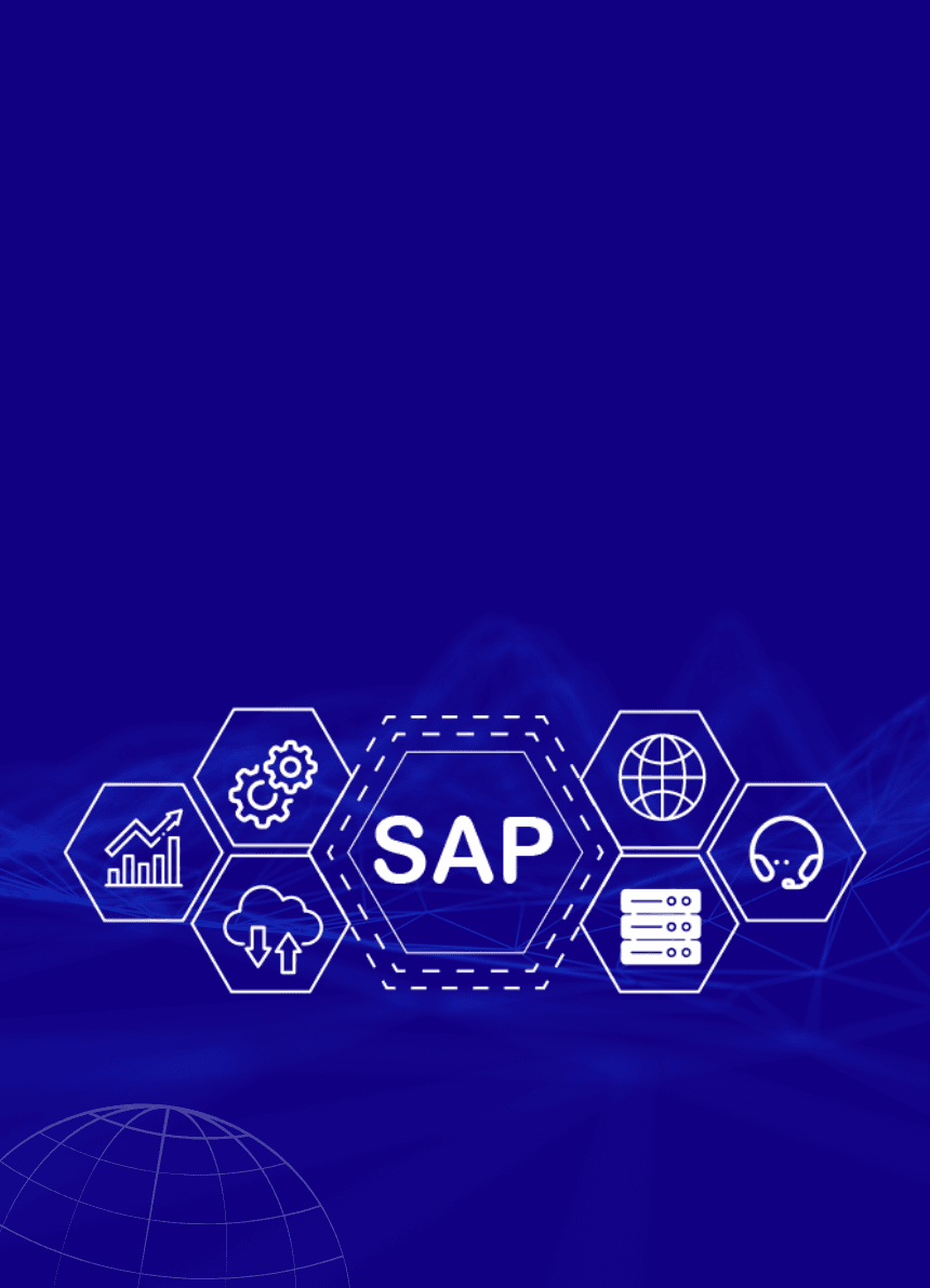SAP ERP Integration & Support
