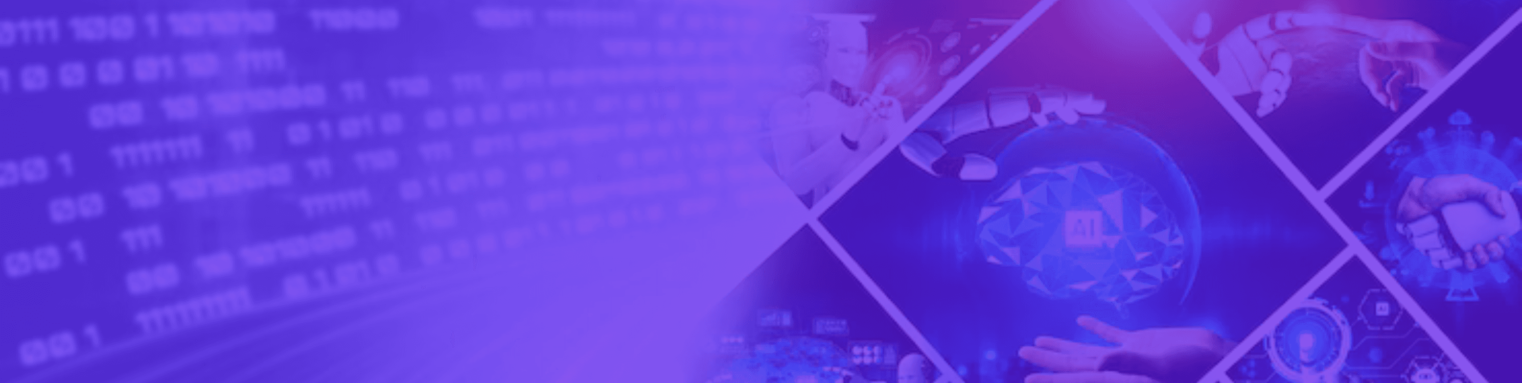 ERP & CRM Development