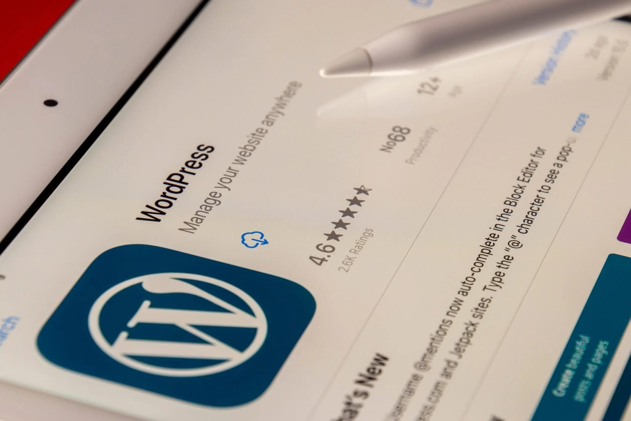 How to Create a Wordpress Website?